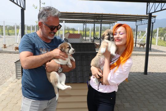 “SOKAĞA DEĞİL, BAKIMEVİ’NE BIRAK” 