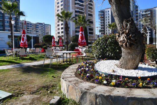 Söke Parkları Mevsimlik Çiçeklerle Rengarenk Oluyor