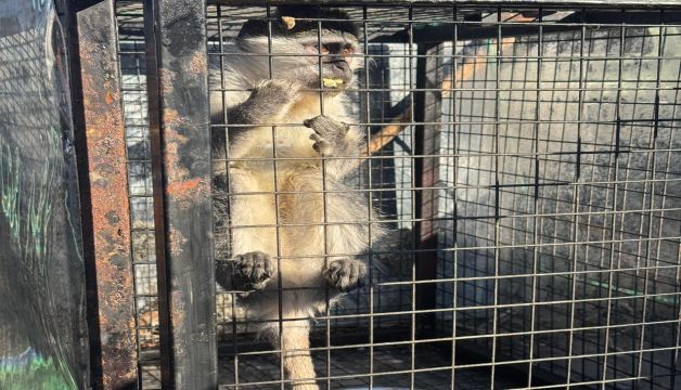 AYDIN İL JANDARMA KOMUTANLIĞI BASIN AÇIKLAMASI YAPTI