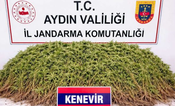 Nazilli’de Uyuşturucu Operasyonu: 1 Tutuklama