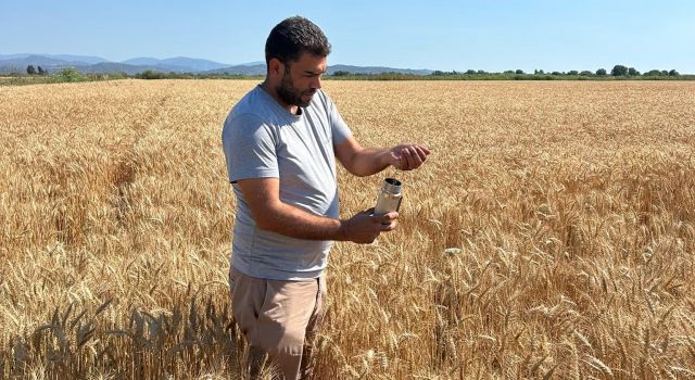 PAMUKTA MALİYET ARTIYOR, ÇİFTÇİNİN KAZANCI ERİYOR