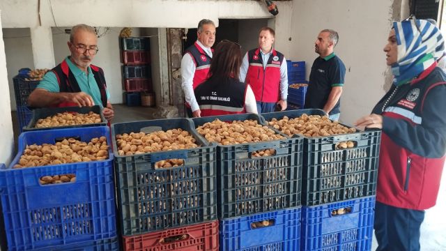 Aydın’da Kuru İncir Sezonu Denetimleri Hız Kazandı